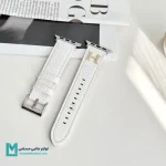 بند رنگی اپل واچ