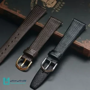 بند اپل واچ